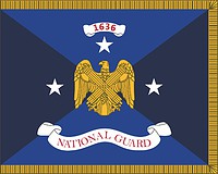 U.S. National Guard Bureau (NGB), флаг заместителя начальника