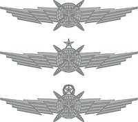 U.S. Air Force Cyber Operator badges