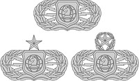 Векторный клипарт: U.S. Air Force Information Operations badges