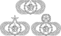 U.S. Air Force Safety badges - vector image