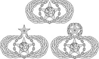 Векторный клипарт: U.S. Air Force Safety badges