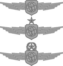 U.S. Air Force Weather and Environmental Sciences badges