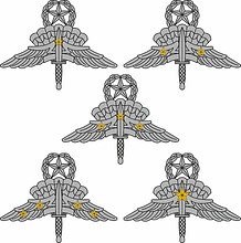 Векторный клипарт: U.S. ArmyCombat Military Free Fall Badge - One to Five Jumps