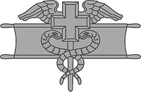 U.S. Army Expert Field Medical Badge - vector image