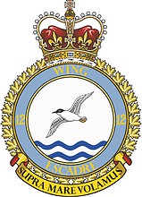 Canadian 12th Wing, badge