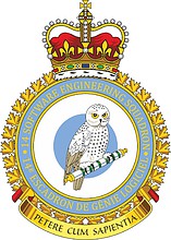 Vector clipart: Canadian 14th Software Engineering Squadron, badge