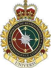 Canadian Forces 4th Intelligence Company, badge