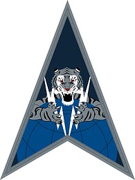 U.S. Space Delta 5, emblem