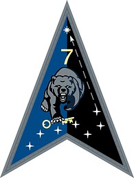 U.S. Space Delta 7, Emblem