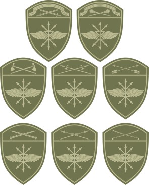 Подразделения связи войск Росгвардии, нарукавные знаки по округам на полевую форму