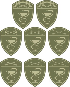 Медицинские части Росгвардии, нарукавные знаки по округам на полевую форму