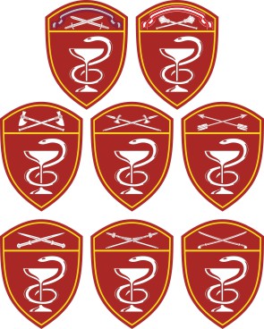 Medical units of the Russian National Guard, district sleeve insignias - vector image