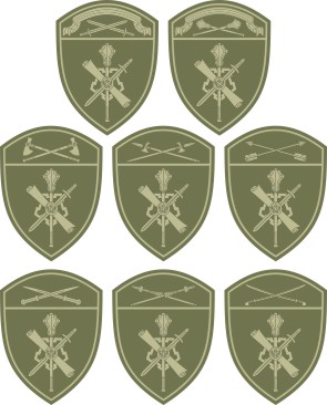 Regional Commands of the Russian National Guard, district sleeve insignias (#2)