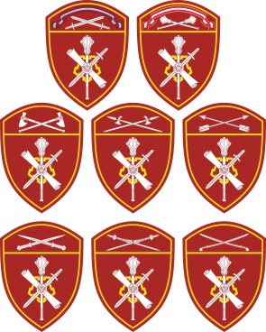 Vector clipart: Regional Commands of the Russian National Guard, district sleeve insignias