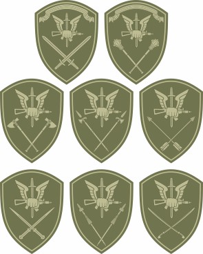 Special commands of the Russian National Guard, district sleeve insignias (#2)