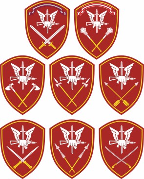 Special commands of the Russian National Guard, district sleeve insignias - vector image