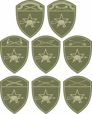 Воинские части специального назначения Росгвардии, нарукавный знак по округам на полевую форму - векторное изображение