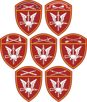 Special Units of the Russian National Guard, proposed district sleeve insignias (2017)