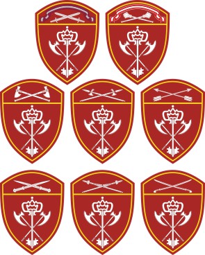 Support units of the Russian National Guard, disrict sleeve insignias