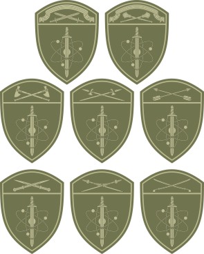 Units for protection of important state facilities and special cargoes of the Russian National Guard, district sleeve insignias (#2) - vector image