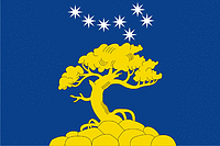 Pyaozyorsky (Karelia), flag