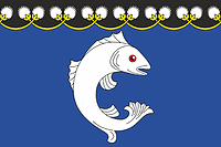 Vector clipart: Suoyarvi (Karelia), flag