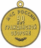 90th emercom badge2