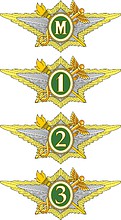 Russian Customs, specialist badges - vector image