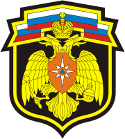 Russian Ministry for Emergency Situations, minister sleeve insignia