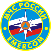 Russian Ministry for Emergency Situations, shoulder patch (N3)