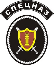 Vector clipart: Russian Federal Penitentiary Service (FSIN), sleeve insignia of special troops