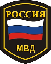 Министерство внутренних дел (МВД) России, нарукавный знак (1995 г.)