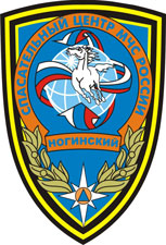 noginsk rescue center patch