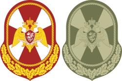 Russian National Guard Forces Central Command, sleeve insignia - vector image