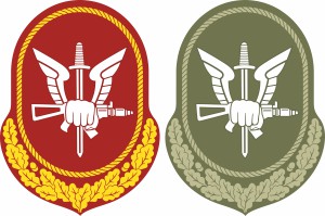 Directorate for Special Forces of the Russian National Guard, sleeve insignia - vector image