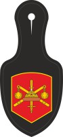 20th army badge