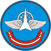 30th Military Central Scientific Research Institute (Russia), shoulder patch