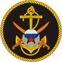 Морская пехота России, нарукавный знак (нашивка) 879-ого отдельного десантно-штурмового батальона (ДШБ)