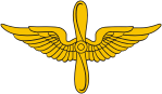 Военно-воздушные силы СССР, петличный знак (1924 г.)