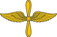 Russian Air Force Aviation, insignia