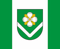 Videniškiai (Lithuania), flag - vector image