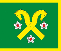 Ilgakiemis (Lithuania), flag