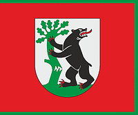 Vector clipart: Išlaužas (Lithuania), flag