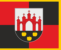 Vector clipart: Notėnai (Lithuania), flag