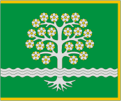 Pakuonis (Lithuania), flag - vector image