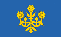 Vector clipart: Radailiai (Lithuania), flag