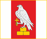 Vector clipart: Salakas (Lithuania), flag