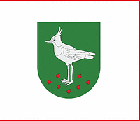 Vector clipart: Šaukotas (Lithuania), flag