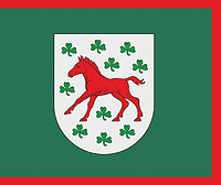 Stoniškiai (Lithuania), flag - vector image