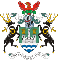 Antrim (Northern Ireland), coat of arms - vector image